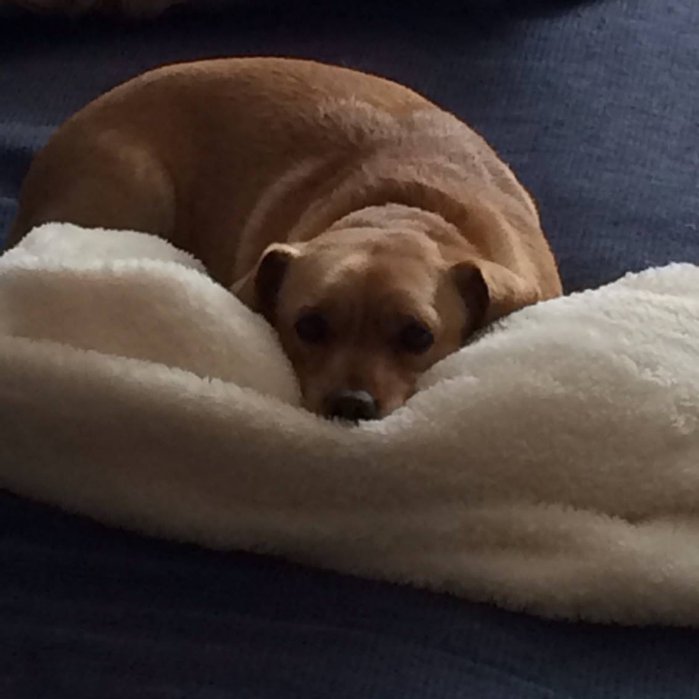 Meet your Posher, Jami